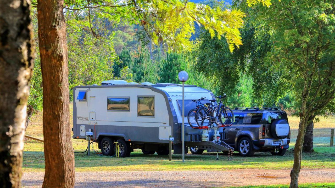 Big4 Porepunkah Holiday Park Bright Bagian luar foto
