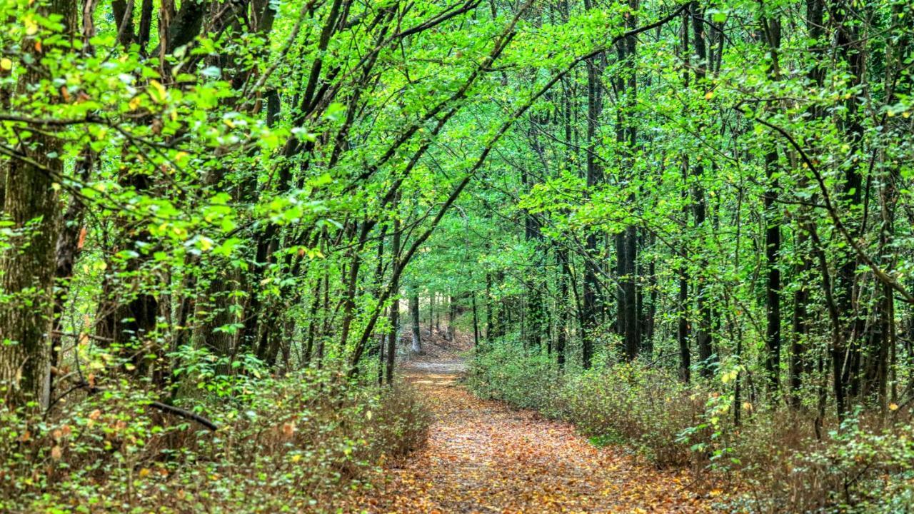 Big4 Porepunkah Holiday Park Bright Bagian luar foto