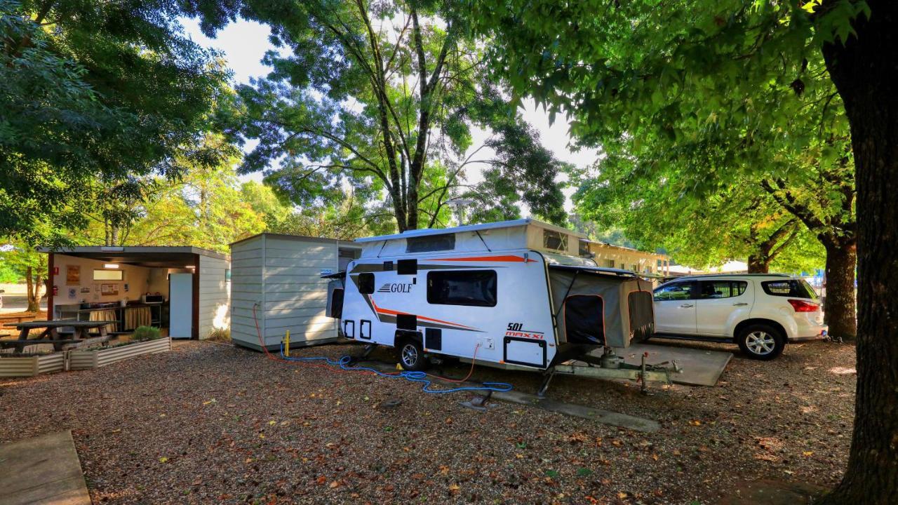 Big4 Porepunkah Holiday Park Bright Bagian luar foto