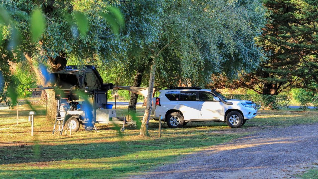 Big4 Porepunkah Holiday Park Bright Bagian luar foto
