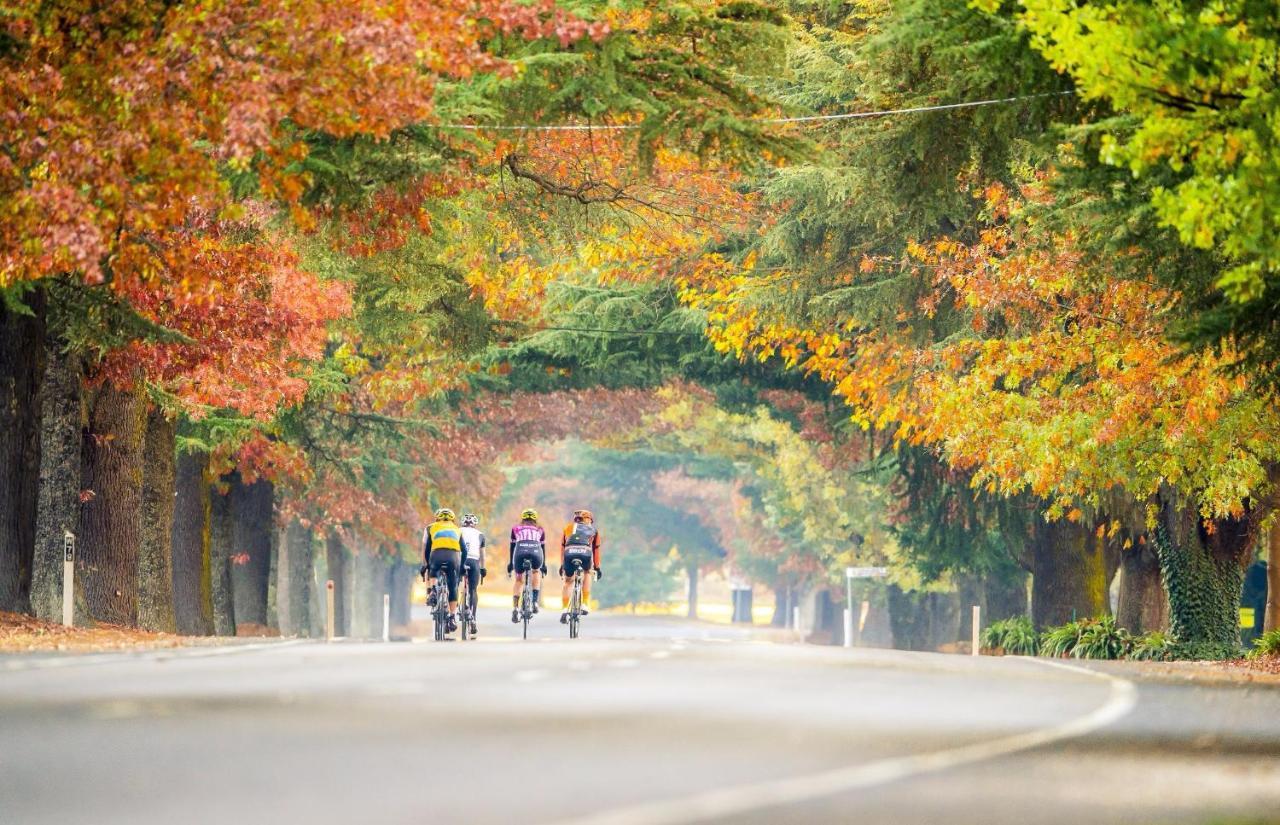 Big4 Porepunkah Holiday Park Bright Bagian luar foto